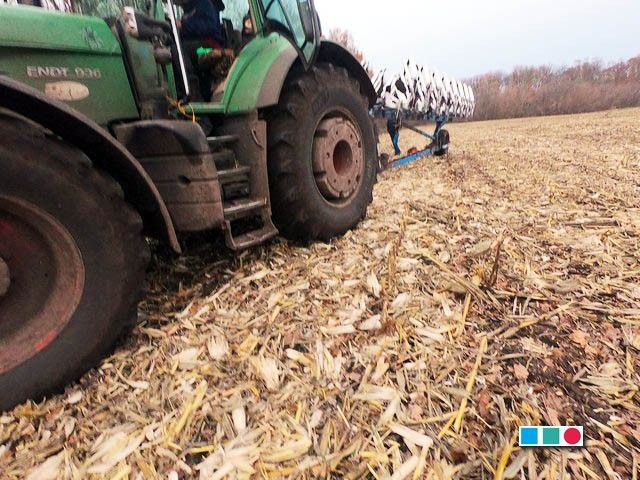 Осмотр шин 710/75R42 BKT AGRIMAX FORTIS TL