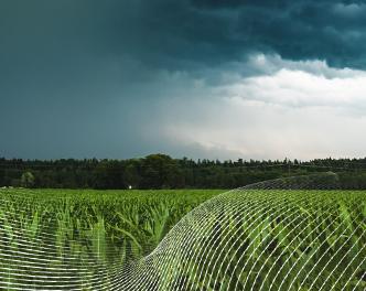 Что могут предпринять фермеры в связи с изменениями климата? | Новый эпизод Global Trends
