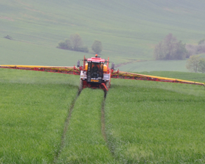 Сделано BKT: Agrimax Spargo - шины с технологией IF для обработки пропашных культур.